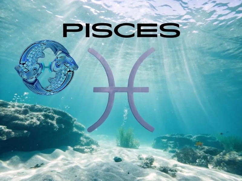 "Love in the Stars: Your 2025 Romantic Horoscope Revealed!" 13 Pisces (February 19 – March 20)